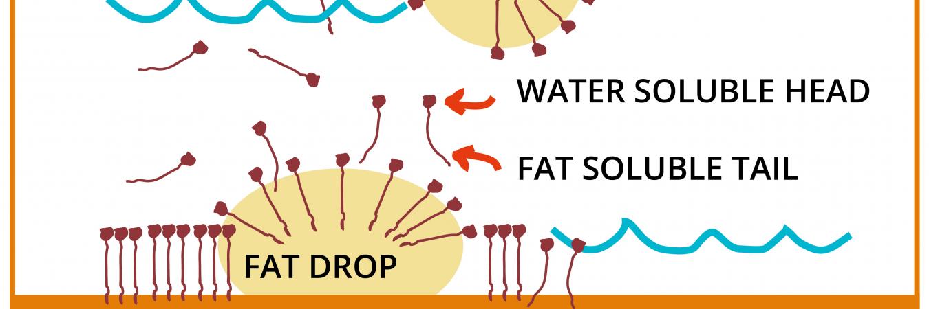 surfactants in action, illustration